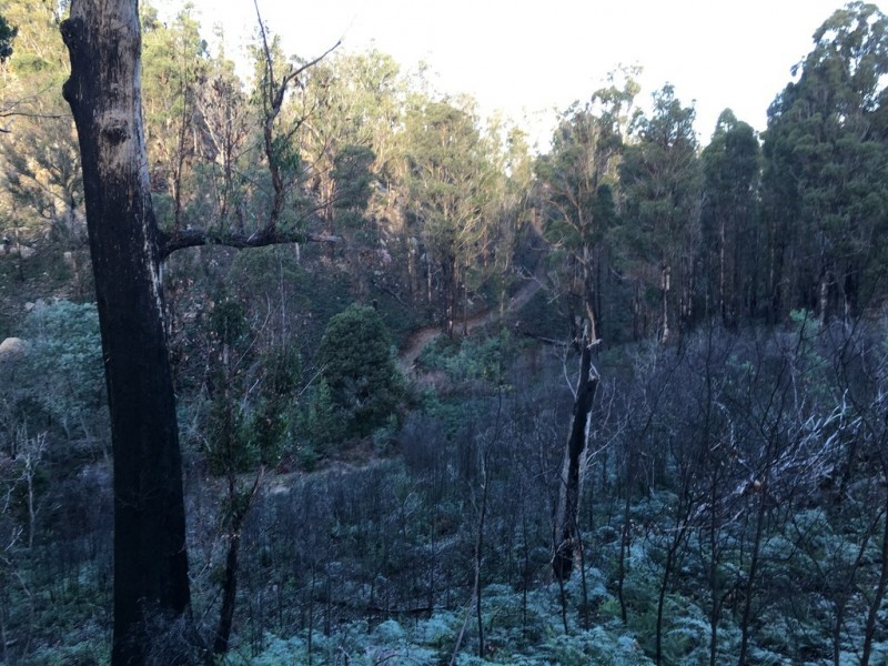 Lot 2 Pearces Road, Strickland TAS 7140