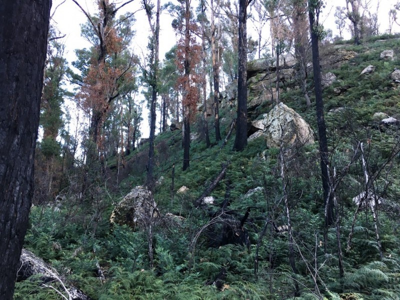 Lot 2 Pearces Road, Strickland TAS 7140