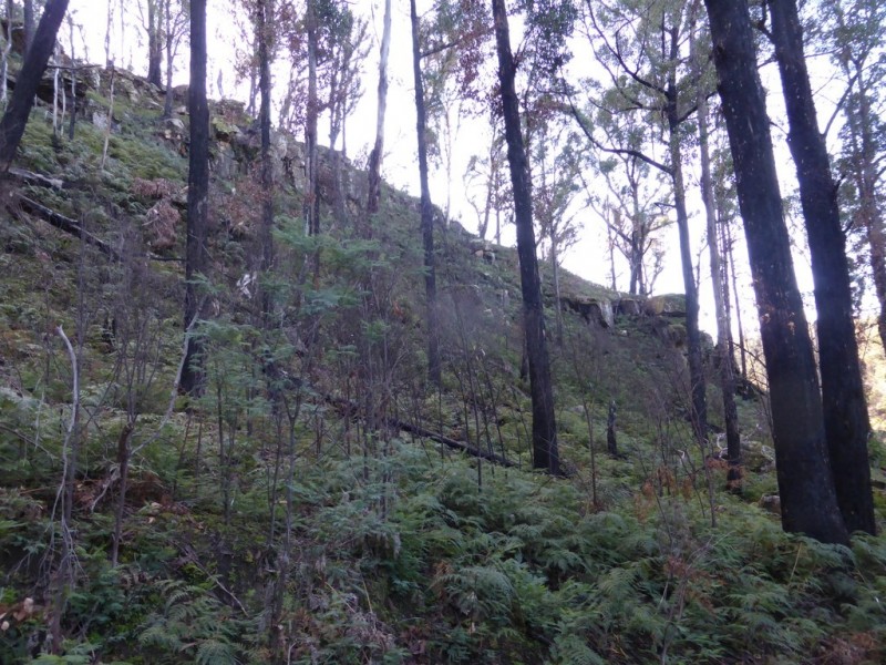 Lot 2 Pearces Road, Strickland TAS 7140