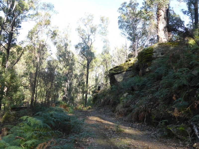 Lot 2 Pearces Road, Strickland TAS 7140