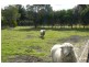 21 Roaring Beach Road, Nubeena TAS 7184