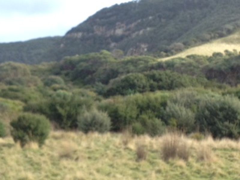 543 Safety Cove Road, Port Arthur TAS 7182