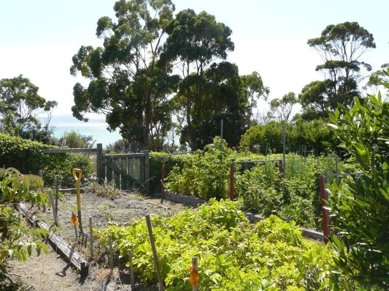 22 Coal Mine Road, Saltwater River TAS 7186