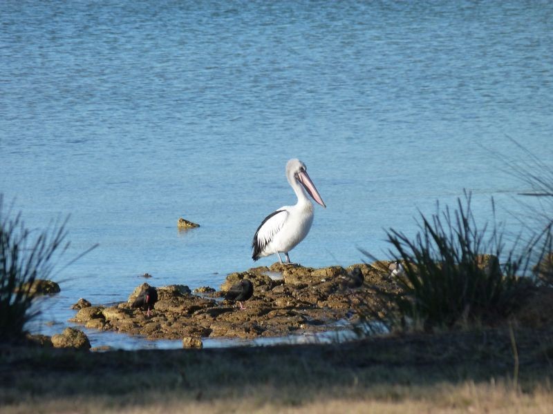 116 Coal Mine Road, Saltwater River TAS 7186