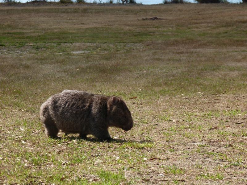 116 Coal Mine Road, Saltwater River TAS 7186
