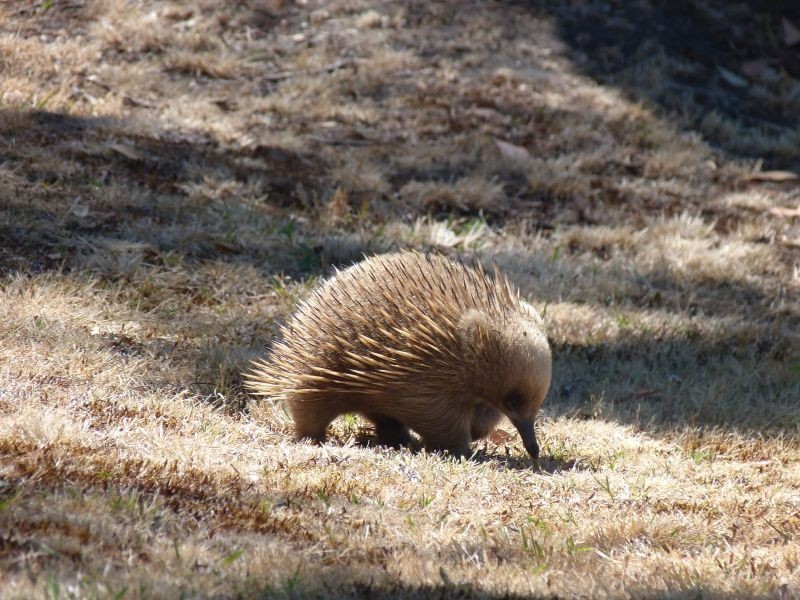 116 Coal Mine Road, Saltwater River TAS 7186