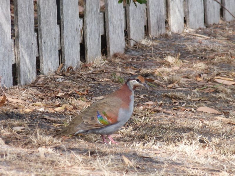 116 Coal Mine Road, Saltwater River TAS 7186