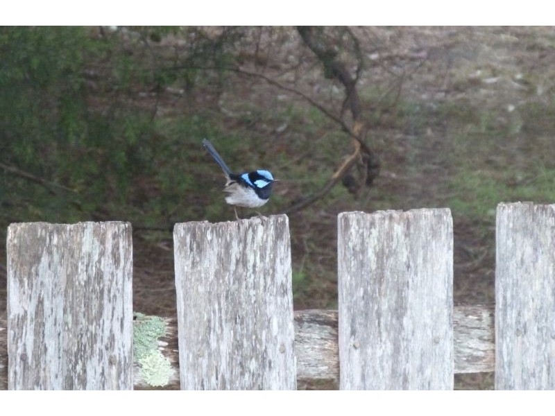 116 Coal Mine Road, Saltwater River TAS 7186