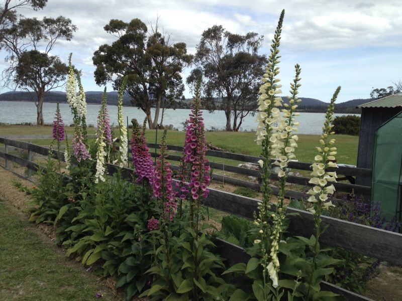 116 Coal Mine Road, Saltwater River TAS 7186