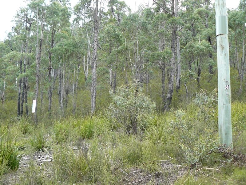 Lots 1 and 2 Kellevie Road, Kellevie TAS 7176