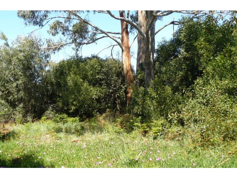 702 Bay Road, Marion Bay TAS 7175