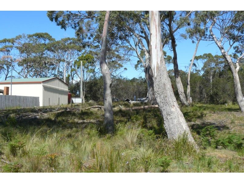 115 Sloping Main Drive, Sloping Main TAS 7186
