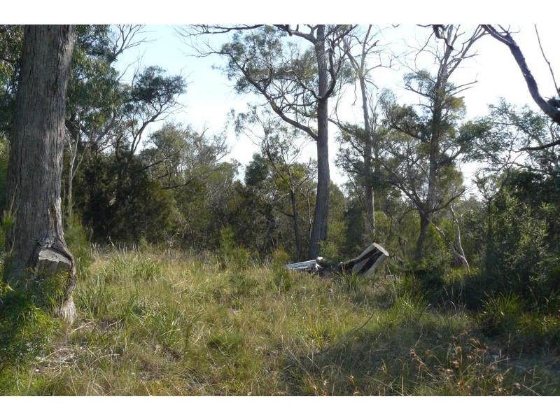 89 Barton Avenue, Triabunna TAS 7190