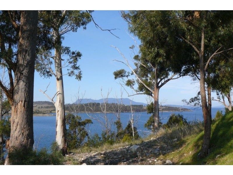 89 Barton Avenue, Triabunna TAS 7190