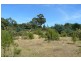 Lot 1 Lookout Road, Port Arthur TAS 7182