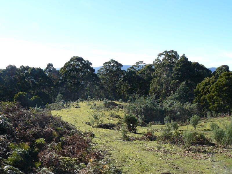 Lot 1 Lookout Road, Port Arthur TAS 7182