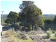 Lot 1 Lookout Road, Port Arthur TAS 7182