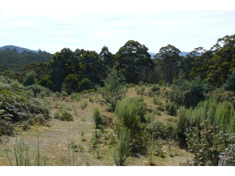 Lot 1 Lookout Road, Port Arthur TAS 7182