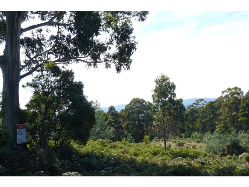 Lot 1 Lookout Road, Port Arthur TAS 7182