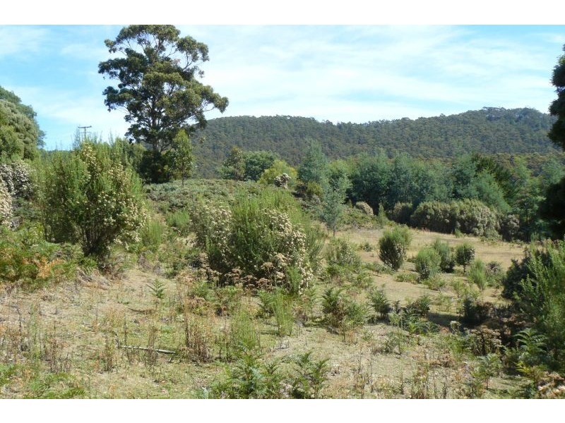 Lot 1 Lookout Road, Port Arthur TAS 7182