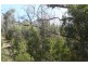 35-41 Russell Street, Dunalley TAS 7177