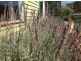 184 Arthur Highway, Dunalley TAS 7177