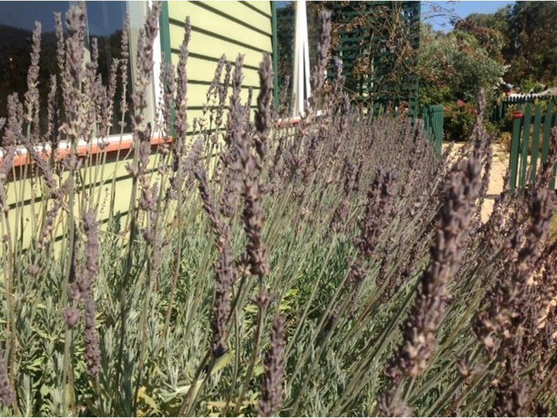 184 Arthur Highway, Dunalley TAS 7177