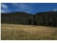 180 Blowhole Road, Eaglehawk Neck TAS 7179