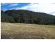 180 Blowhole Road, Eaglehawk Neck TAS 7179