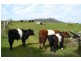 1458 Nubeena Road, Nubeena TAS 7184
