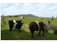 1458 Nubeena Road, Nubeena TAS 7184