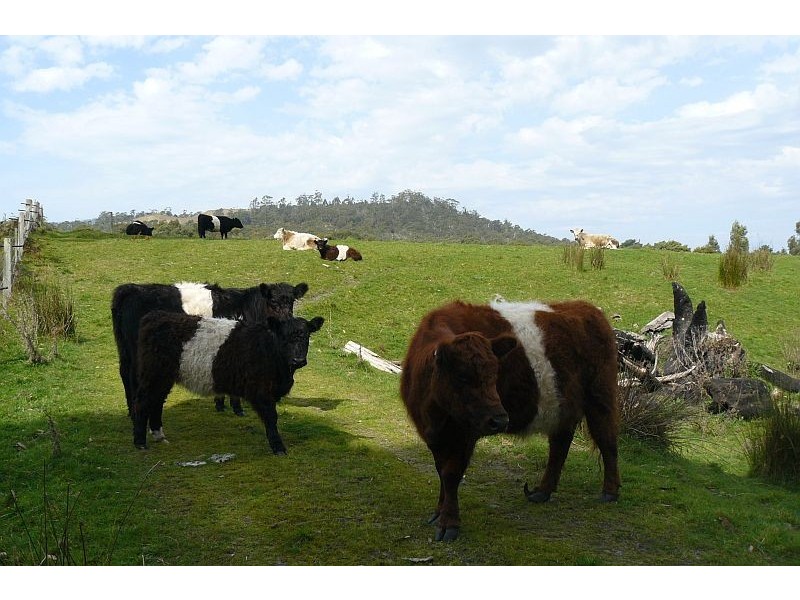 1458 Nubeena Road, Nubeena TAS 7184