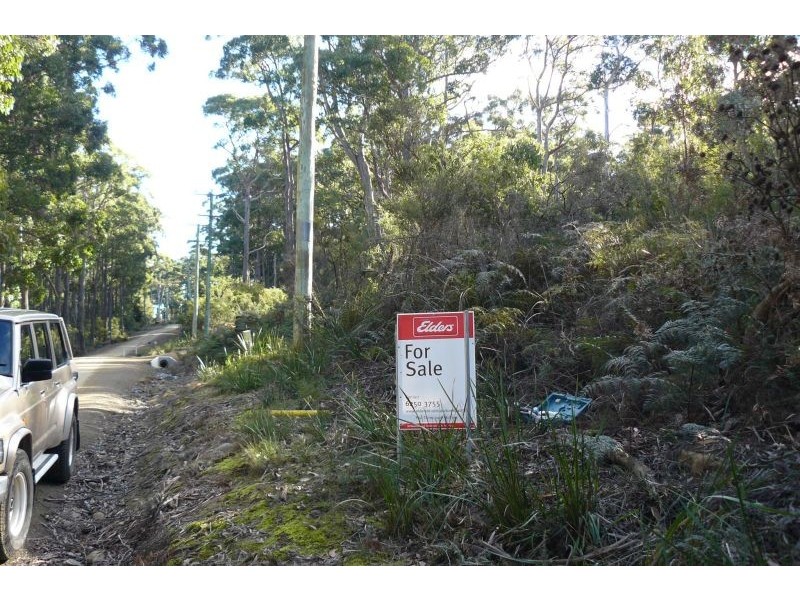 182 Old Jetty Road, Eaglehawk Neck TAS 7179