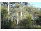 182 Old Jetty Road, Eaglehawk Neck TAS 7179