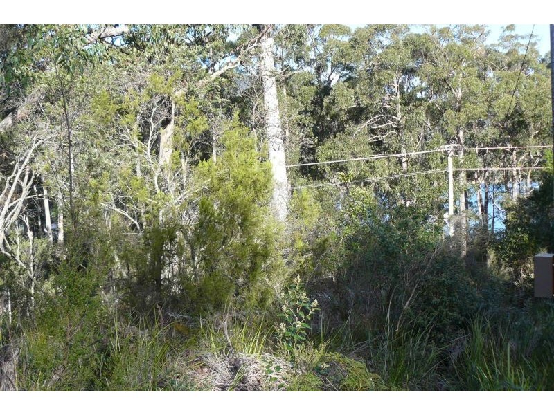 182 Old Jetty Road, Eaglehawk Neck TAS 7179