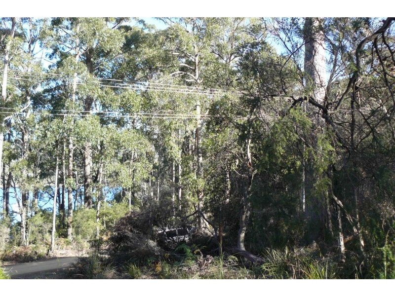 182 Old Jetty Road, Eaglehawk Neck TAS 7179