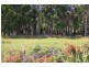 Lot 9 Wencks Road, Port Arthur TAS 7182