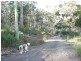Lot 3/192 Jetty Road, Eaglehawk Neck TAS 7179