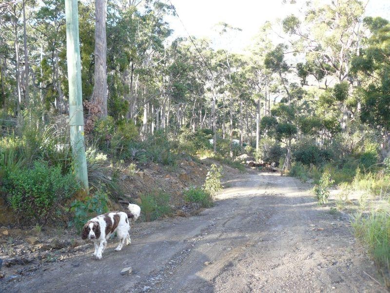 Lot 3/192 Jetty Road, Eaglehawk Neck TAS 7179