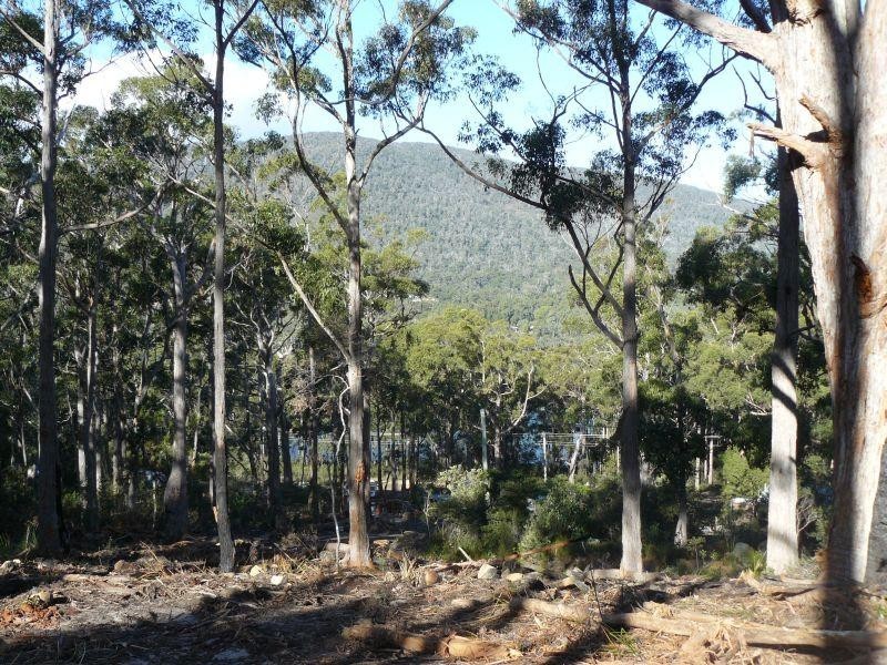 Lot 3/192 Jetty Road, Eaglehawk Neck TAS 7179