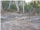 Lot 3/192 Jetty Road, Eaglehawk Neck TAS 7179
