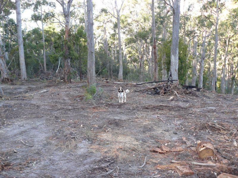 Lot 3/192 Jetty Road, Eaglehawk Neck TAS 7179