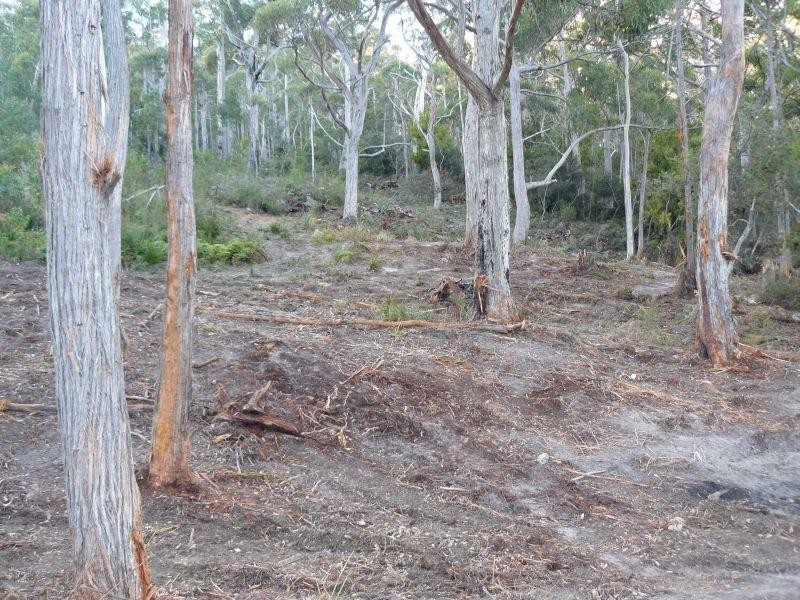 Lot 3/192 Jetty Road, Eaglehawk Neck TAS 7179