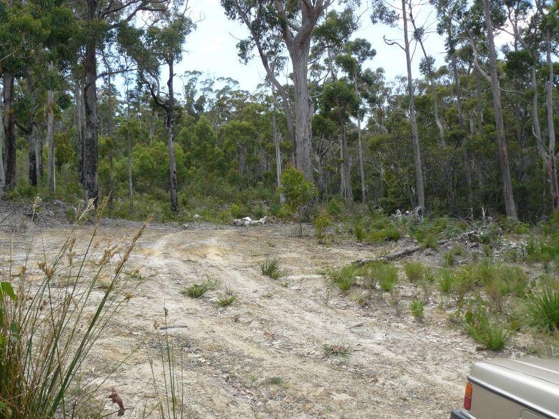 Lot 3/192 Jetty Road, Eaglehawk Neck TAS 7179