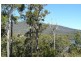 166 Old Jetty Road, Eaglehawk Neck TAS 7179