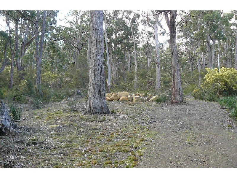 178 Old Jetty Road, Eaglehawk Neck TAS 7179