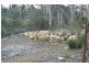 178 Old Jetty Road, Eaglehawk Neck TAS 7179
