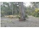178 Old Jetty Road, Eaglehawk Neck TAS 7179