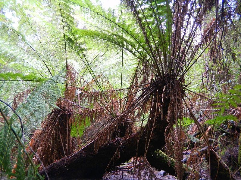 4895 Arthur Highway, Eaglehawk Neck TAS 7179