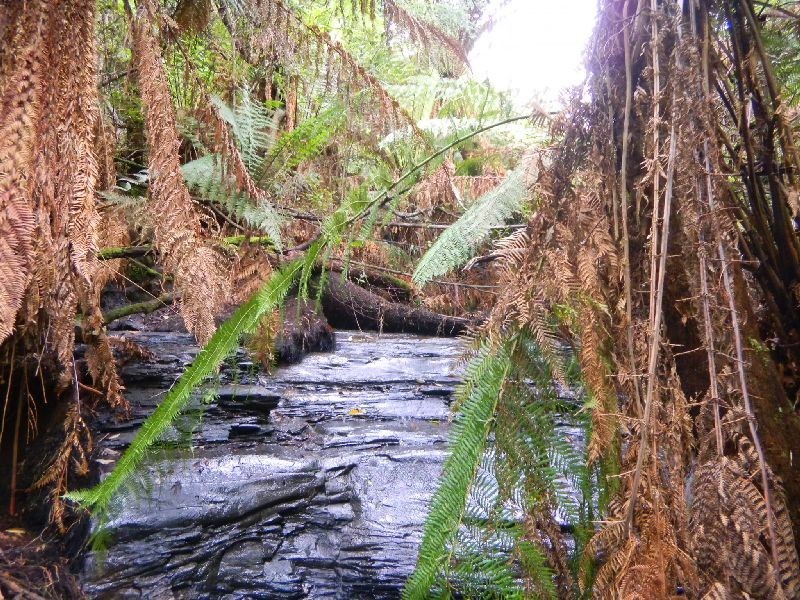 4895 Arthur Highway, Eaglehawk Neck TAS 7179